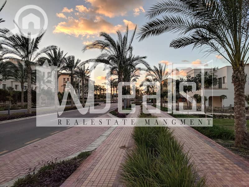 8 Marassi+Egypt+4. jpg
