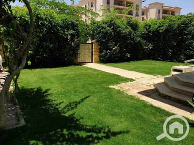 تاون هاوس 3 غرف نوم للايجار في القاهرة الجديدة، القاهرة - 1000469050. jpg