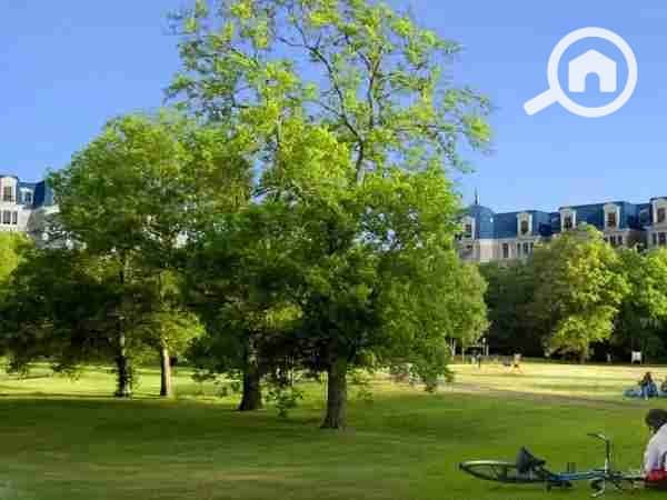 10 1000001364. webp