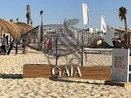 6 gaia4. jpg