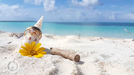 Residential Land for Sale in North Coast, Matruh - videoblocks-v00397-maldives-beautiful-beach-background-white-sandy-tropical-paradise-island-with-blue-sky-sea-water-ocean-4k-gold-wedding-ring-seashell-yellow-flower_. png