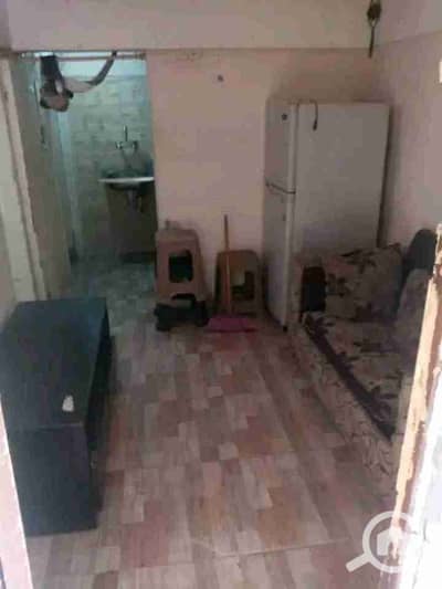 1 Bedroom Apartment for Rent in Dokki, Giza - FB_IMG_17564985616257241. jpg