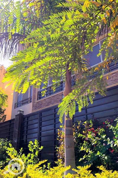 3 Bedroom Flat for Sale in New Cairo, Cairo - WhatsApp Image 2025-09-15 at 5.21. 34 PM. jpeg