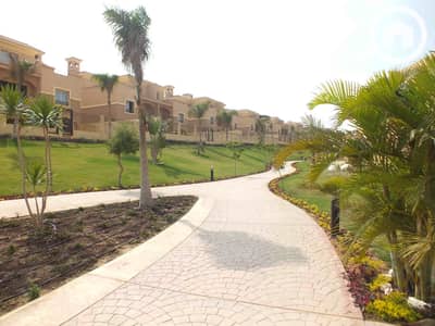 4 Bedroom Townhouse for Rent in New Cairo, Cairo - 10dedd7a-34fe-45f2-9714-78468956e238. jpg