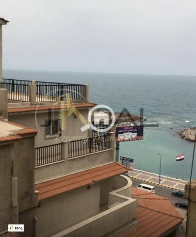 فلیٹ 3 غرف نوم للايجار في سابا باشا، الإسكندرية - WhatsApp Image 2025-09-16 at 5.52. 21 PM (3). jpeg