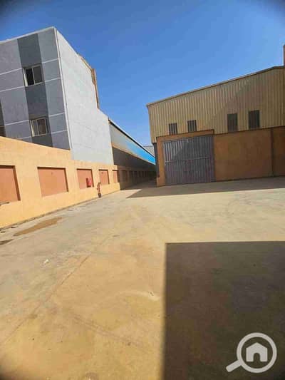 Warehouse for Rent in 10th of Ramadan, Sharqia - 1000086819. jpg