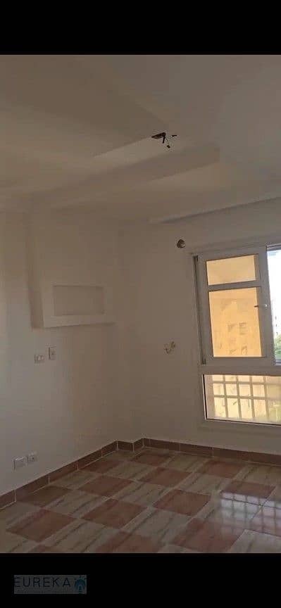 3 Picture2. jpg