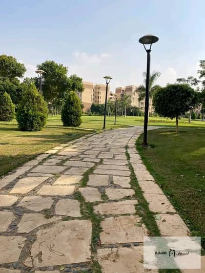 2 Bedroom Flat for Rent in Madinaty, Cairo - WhatsApp Image 2025-02-25 at 10.52. 37 AM. jpeg