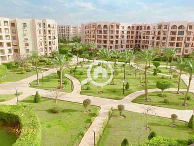 فلیٹ 4 غرف نوم للبيع في القاهرة الجديدة، القاهرة - IMG-20250816-WA0064. jpg