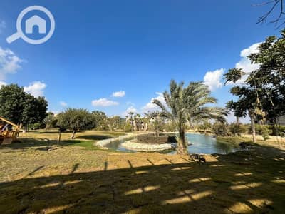 4 Bedroom Twin House for Sale in Sheikh Zayed, Giza - WhatsApp Image 2025-09-15 at 13.01. 35_ef8ce1bc. jpg