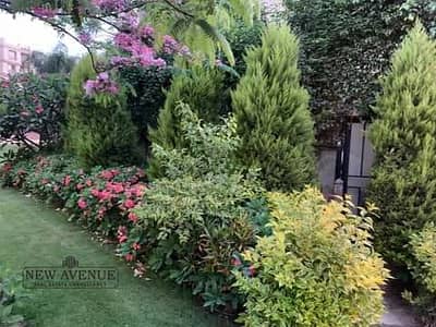 شقة 3 غرف نوم للبيع في مدينتي، القاهرة - WhatsApp Image 2025-09-10 at 17.01. 53_c977d340. jpg