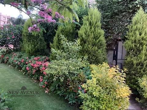 WhatsApp Image 2025-09-10 at 17.01. 53_c977d340. jpg