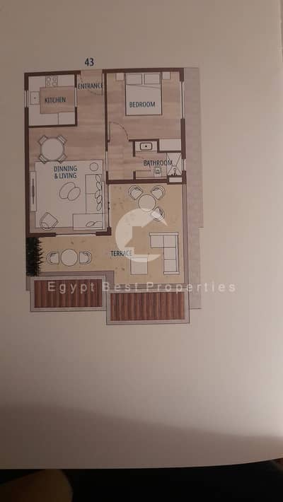 بنتهاوس 1 غرفة نوم للبيع في الساحل الشمالي، مطروح - WhatsApp Image 2025-09-17 at 11.54. 16 AM. jpeg