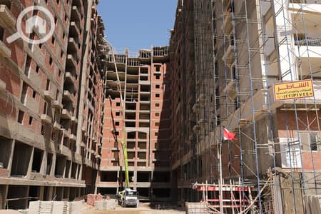 3 Bedroom Flat for Sale in Smoha, Alexandria - 8W6A8225. JPG