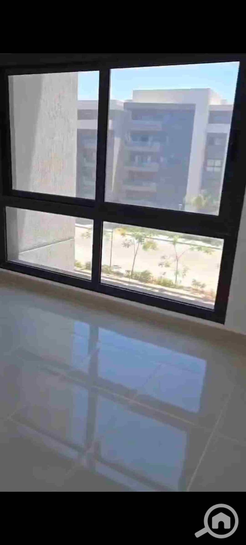 33 1000259113. jpg