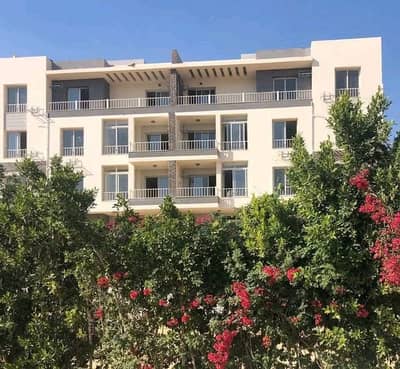 3 Bedroom Flat for Sale in New Cairo, Cairo - WhatsApp Image 2025-09-16 at 11.46. 44 AM. jpeg