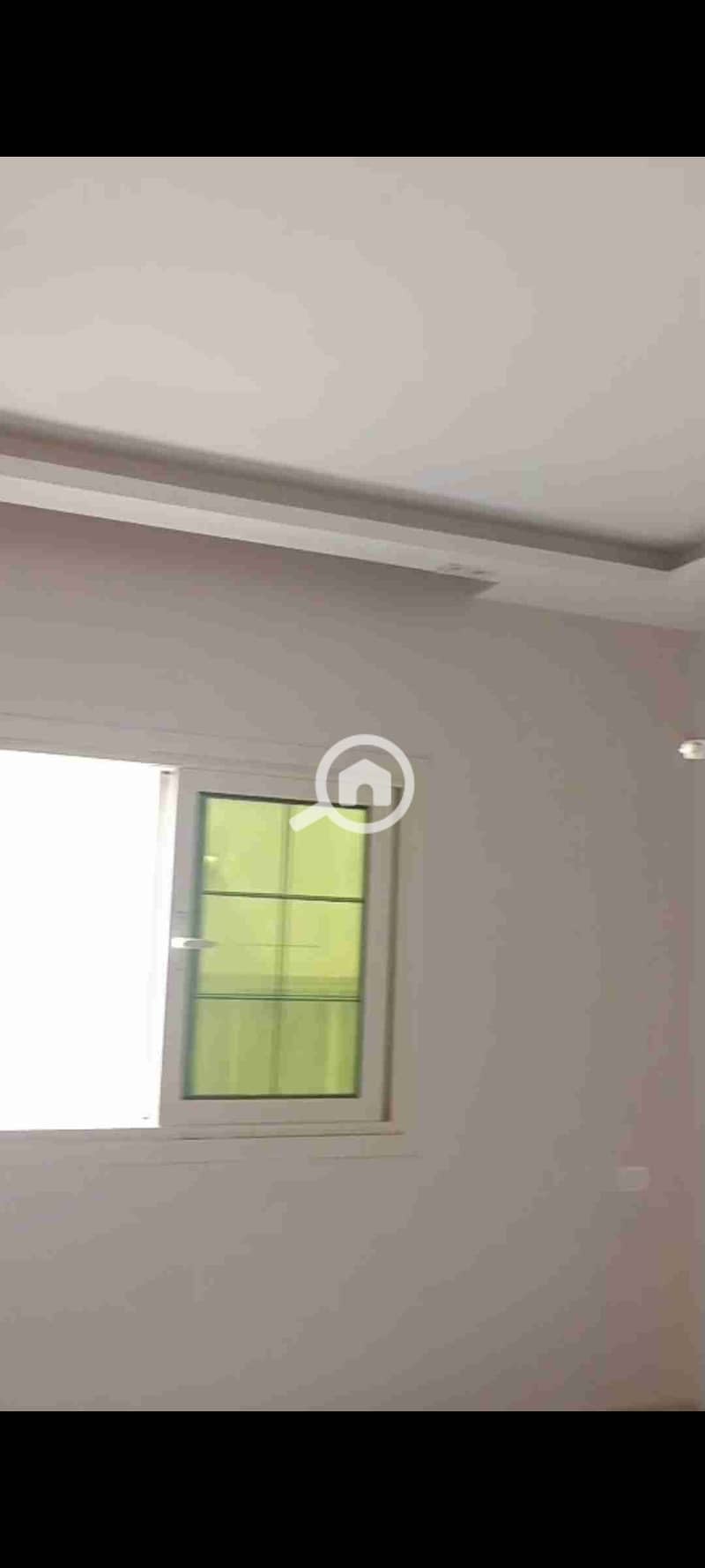 3 1000382211. jpg
