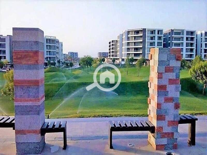 12 375471594_7137585122919175_6673020929625787779_n. jpg