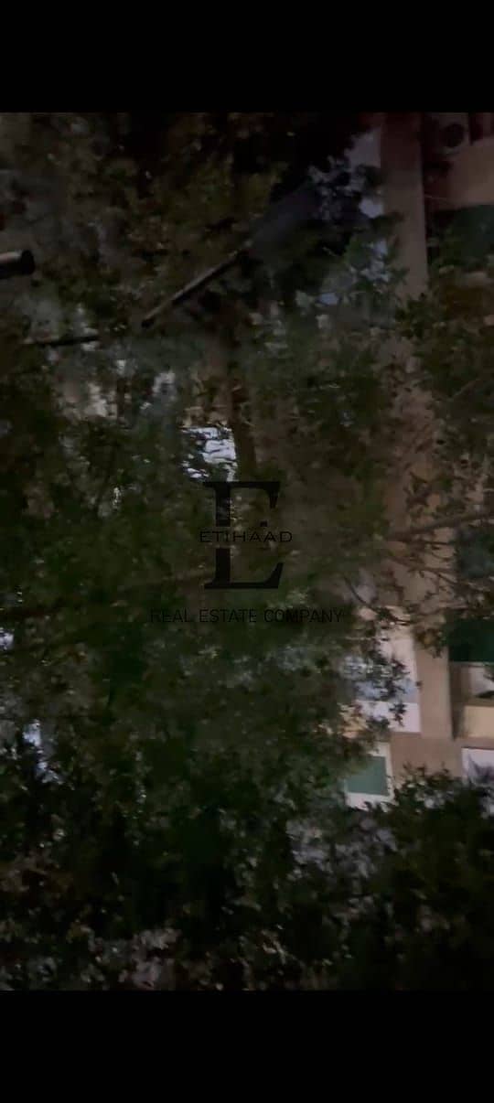 3 صورة واتساب بتاريخ 2025-09-17 في 15.58. 26_36a82d16. jpg
