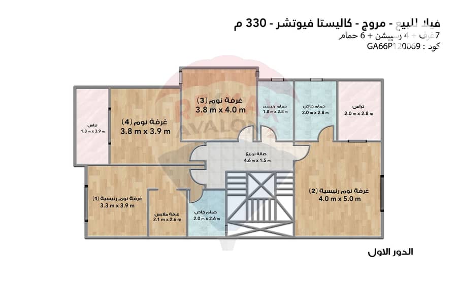 6 6. jpg