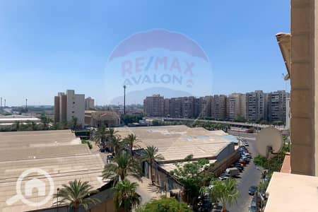 3 Bedroom Apartment for Rent in Smoha, Alexandria - 1. jpg