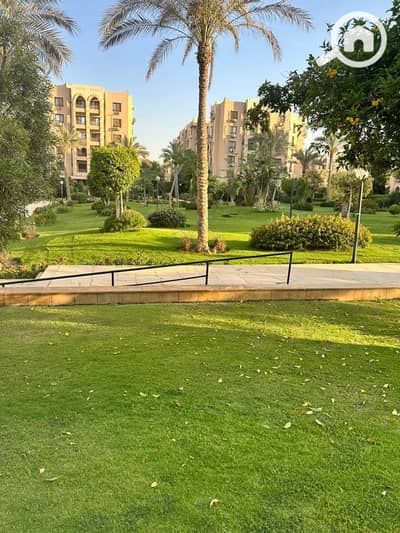 استوديو  للبيع في القاهرة الجديدة، القاهرة - 3ca0c3a7-b2d7-4df0-af73-a1aced55f88e. jpg