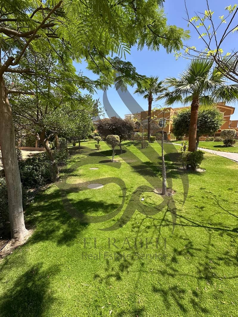 4 WhatsApp Image 2025-09-11 at 4.01. 37 AM. jpeg