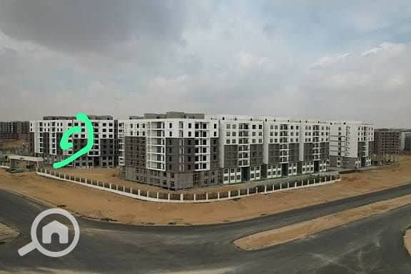 6 WhatsApp Image 2025-09-17 at 18.17. 02_79cf5c34. jpg