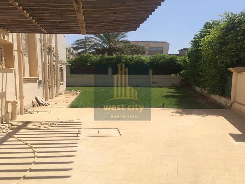 3 999cf5b3-f597-4388-be74-f51cef824243. jpg