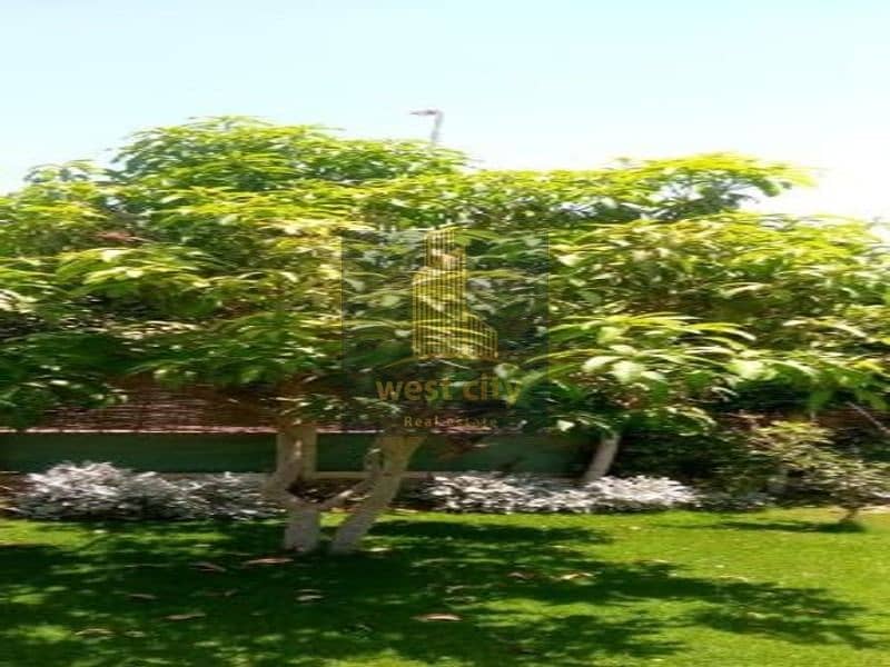 9 c0b605ca-2f4f-4321-af4e-c2fc5b228484. jpg