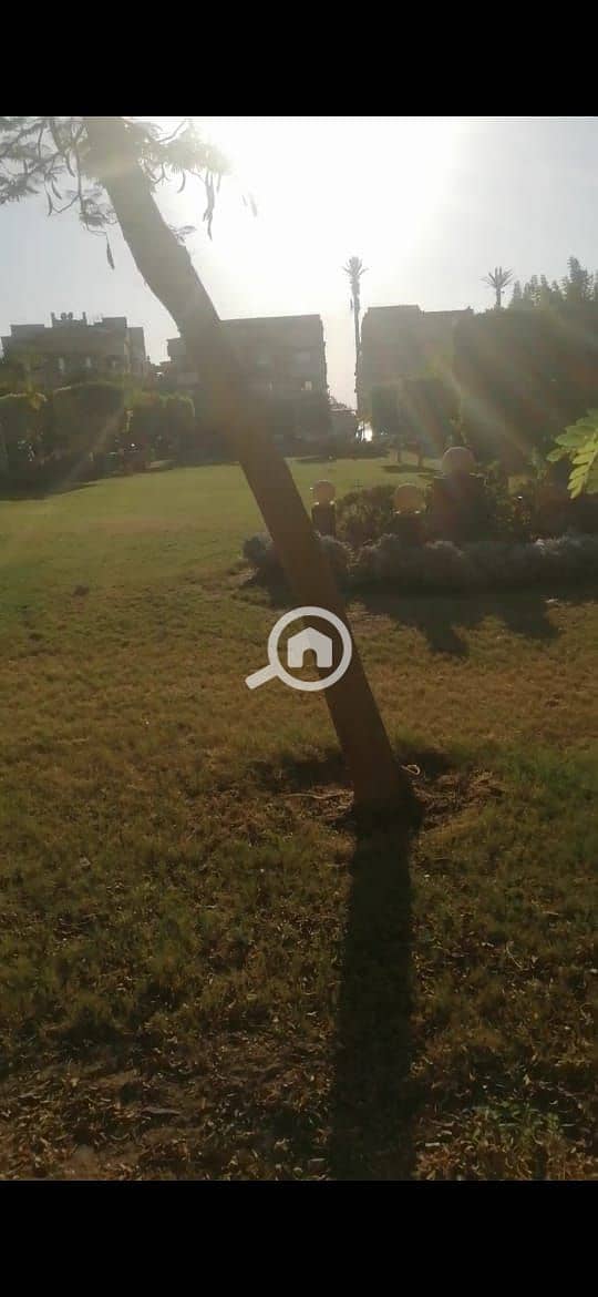 2 WhatsApp Image 2025-09-02 at 4.46. 22 PM (1). jpeg