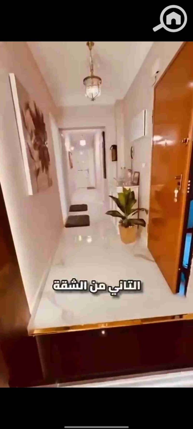 9 1000369526. jpg