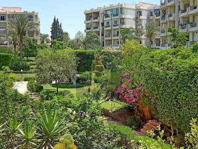 فلیٹ 3 غرف نوم للايجار في الشيخ زايد، الجيزة - 01bfb608-40c6-4650-a573-a29fcd7a113c. jpg