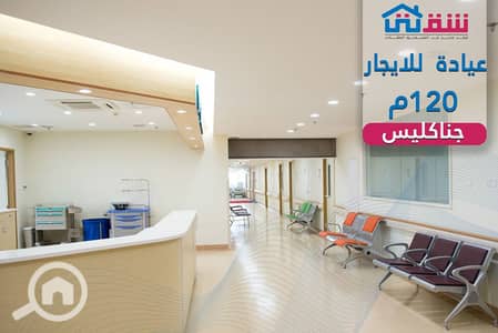 Clinic for Rent in Gianaclis, Alexandria - design. png