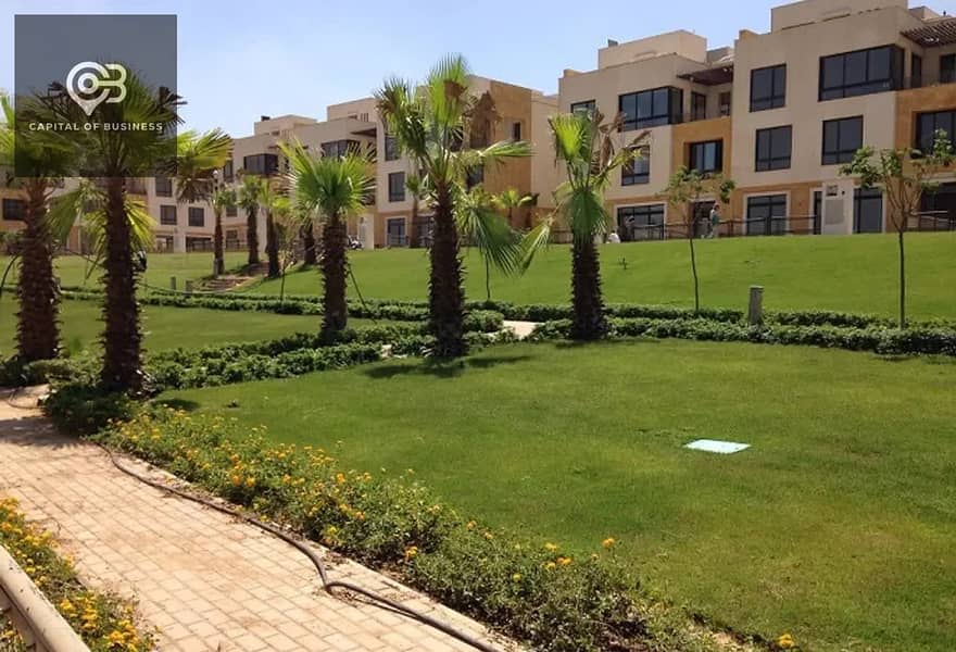 10 Green_spaces_in_sodic_westown. jpg