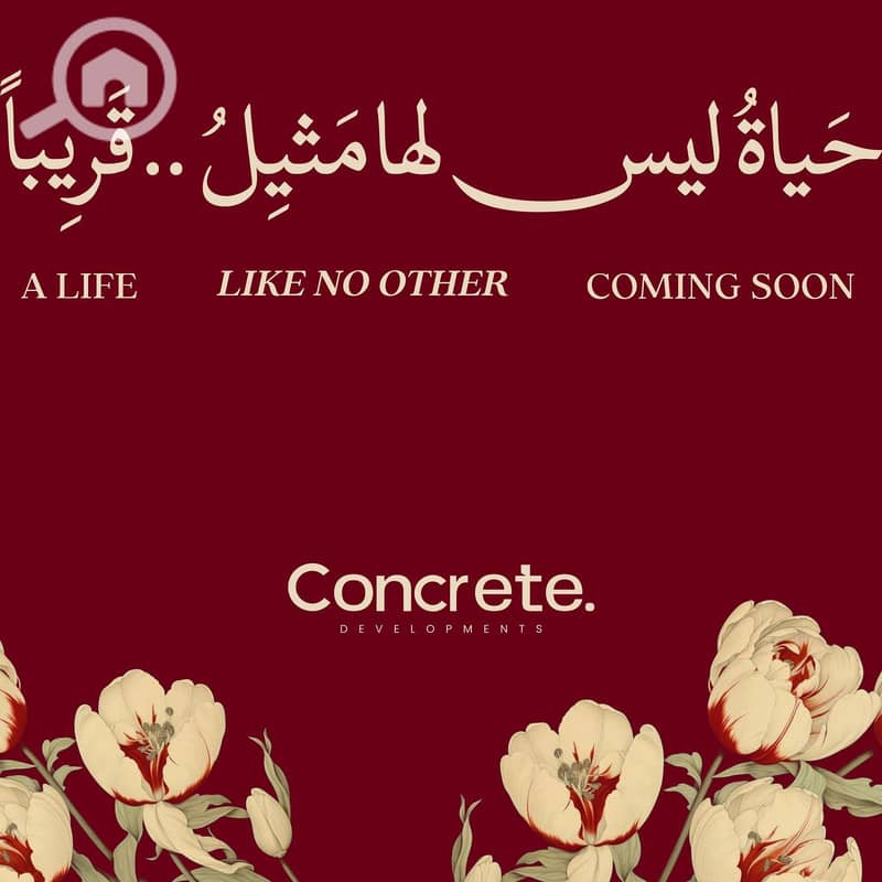 8 WhatsApp Image 2025-08-10 at 17.19. 50_99f3ed3d. jpg