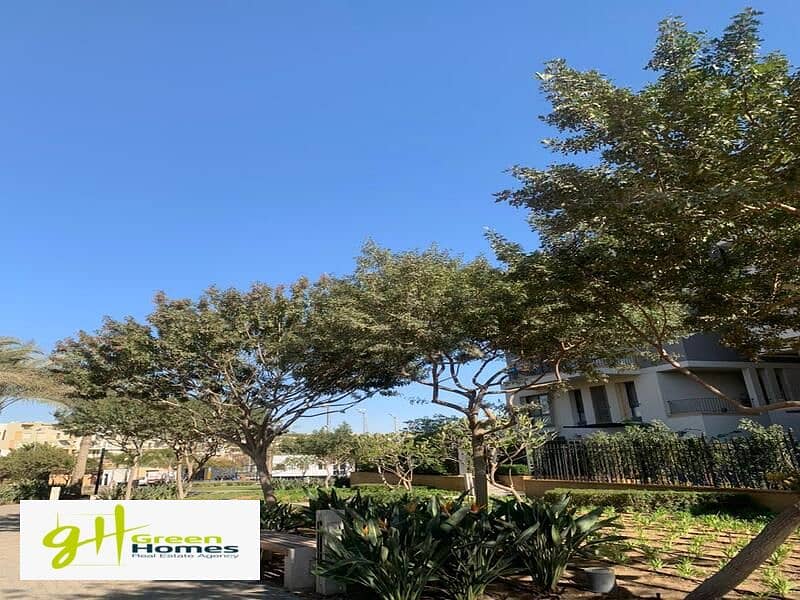 12 WhatsApp Image 2024-02-19 at 2.48. 28 PM. jpeg