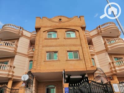 شقة 3 غرف نوم للبيع في القاهرة الجديدة، القاهرة - WhatsApp Image 2025-08-09 at 11.54. 19 AM. jpeg