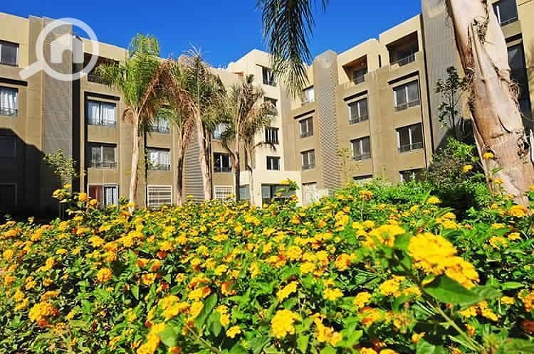 9 PHOTO-2024-05-30-11-58-00. jpg