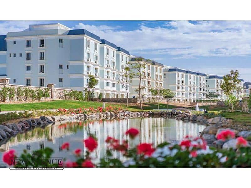 5 Mountain-View-Hyde-Park-1. jpg