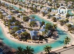 6 تنزيل (2). jpg