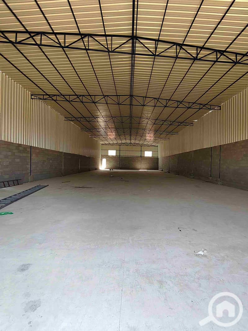 12 IMG_20250918_131150. jpg