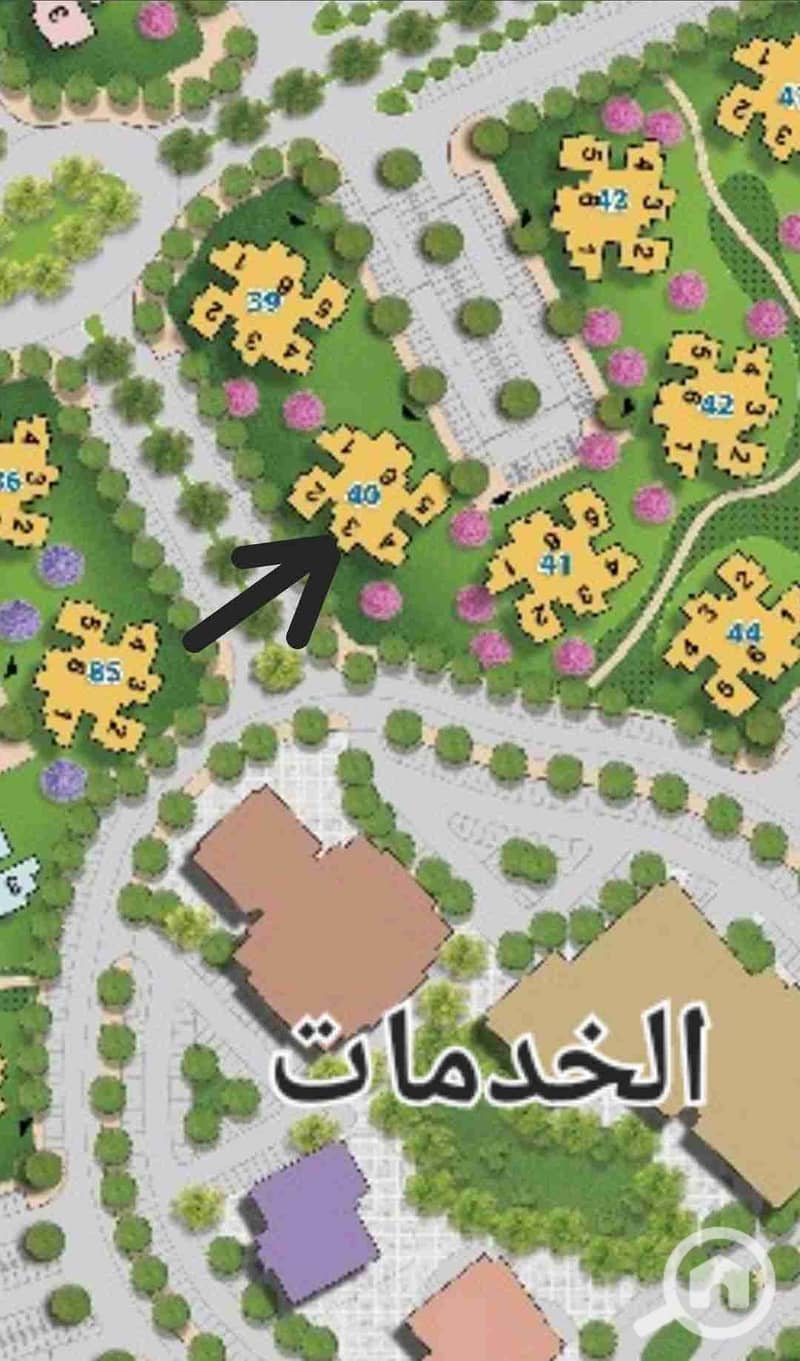 2 1000365740. jpg