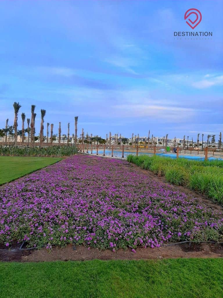 7 WhatsApp Image 2025-09-18 at 16.35. 49_0bd642e7. jpg