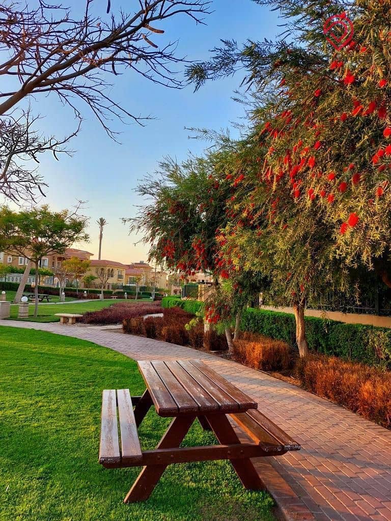 8 WhatsApp Image 2025-09-18 at 16.35. 49_2cbd1f51. jpg