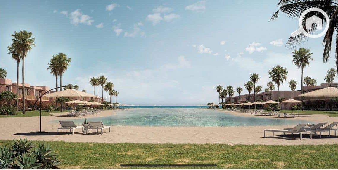 6 sea-shell-playa. jpg