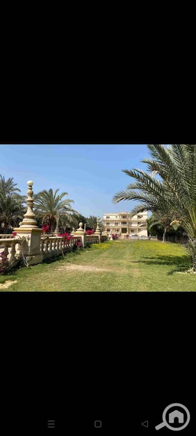 9 Bedroom Villa for Sale in Mansuriyya, Giza - 1000122319. jpg