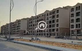 10 green square18. jpeg