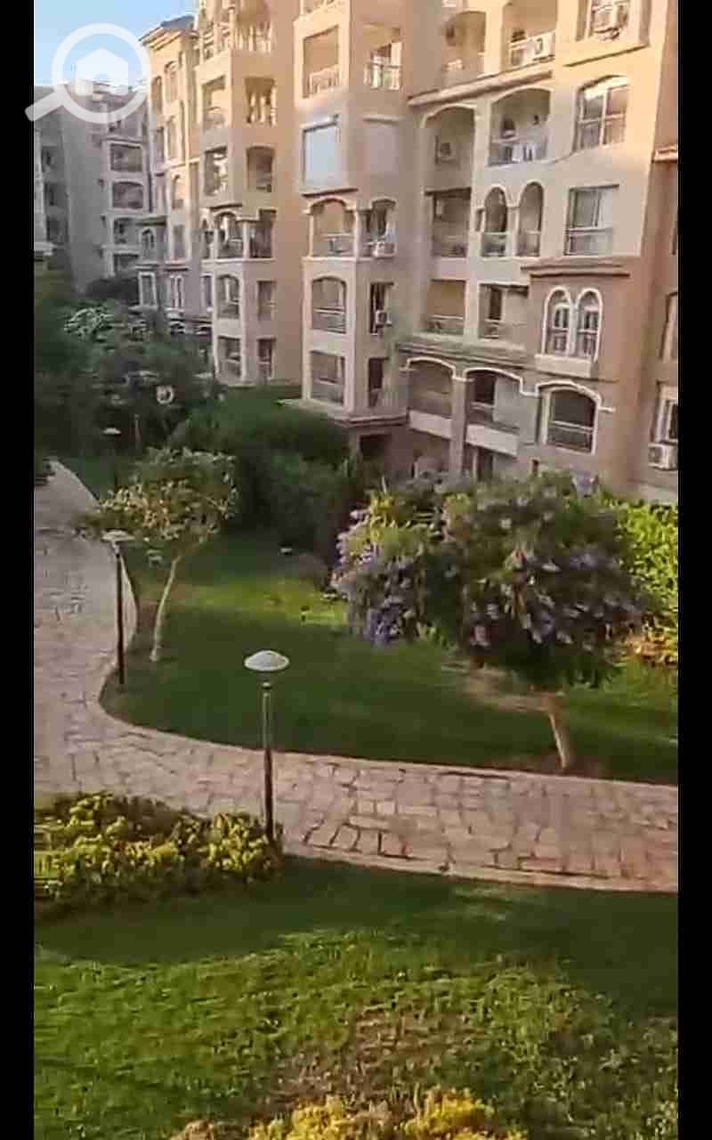 20 1000300197. jpg