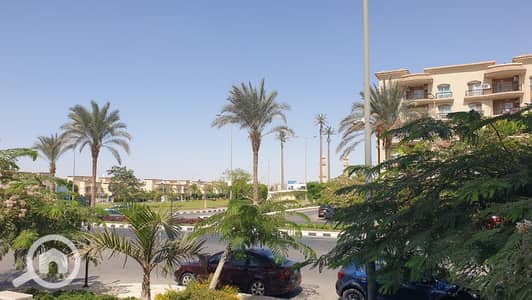 3 Bedroom Flat for Rent in New Cairo, Cairo - d3fc71c1-b54f-4b44-a082-633068dce26a. jpg